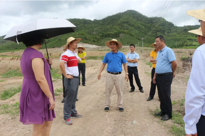 董事长张立陪同市政协副主席黄志强到崖州区视察调研南繁基地建设情况