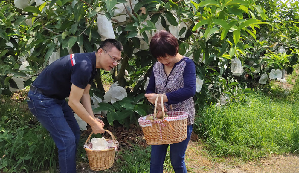 扶贫消费“春风大行动”走进崖州