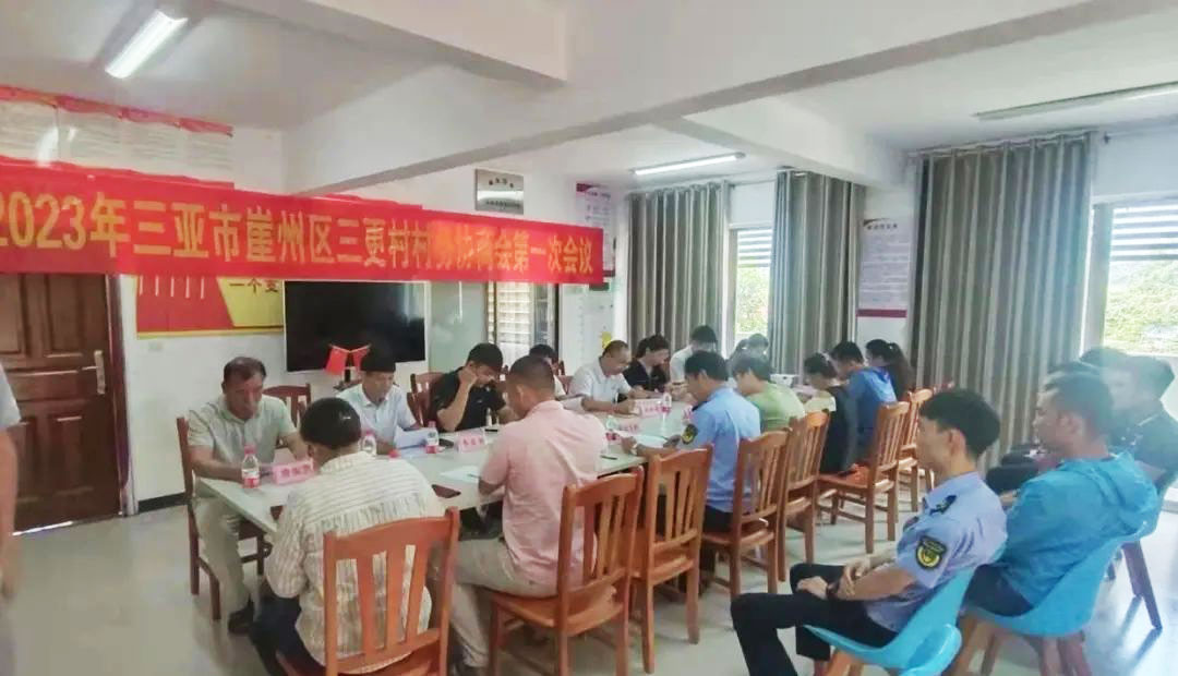 羅才嬋參加三更村務協商